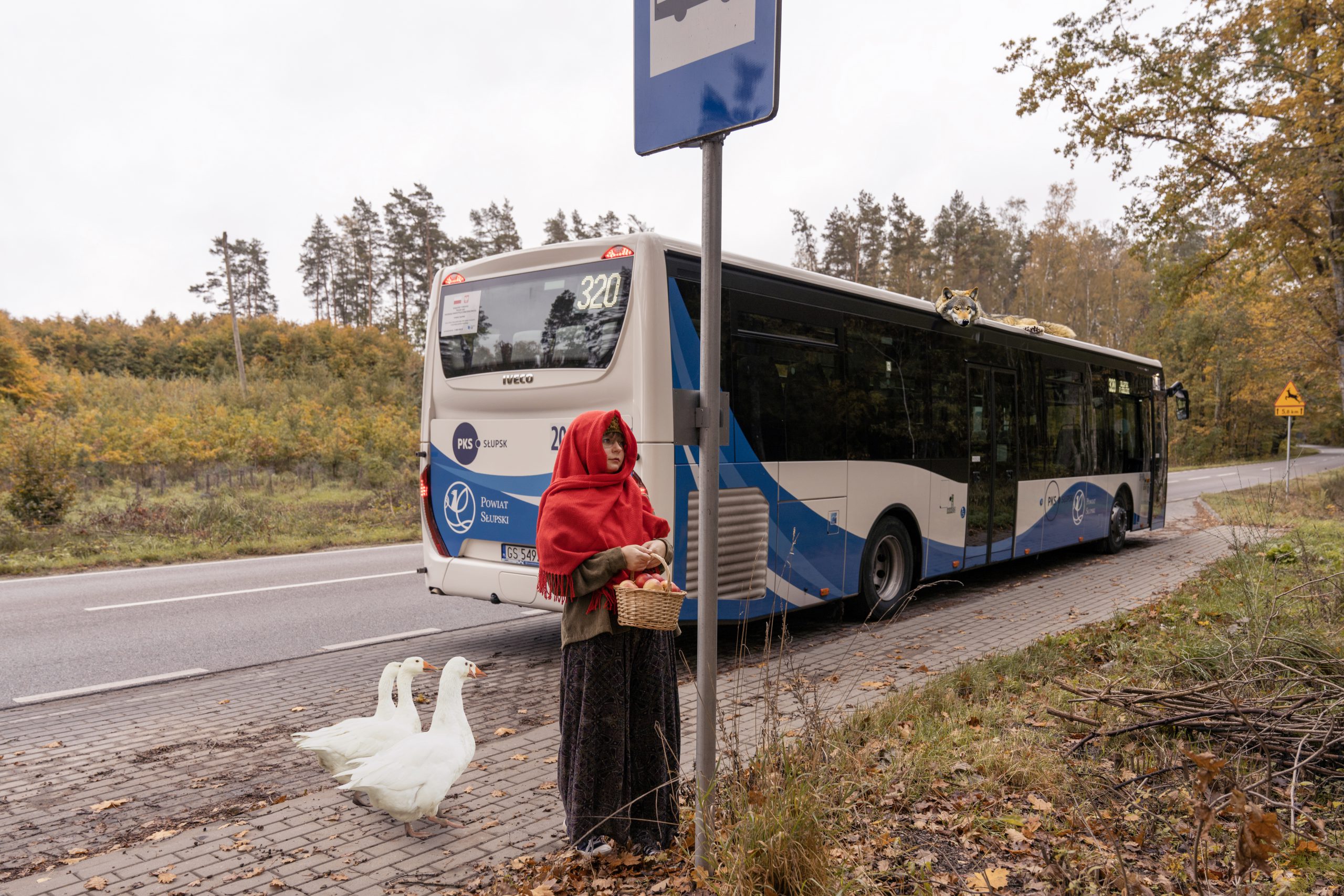 Bezpłatny dojazd na regionalne święto w Swołowie
